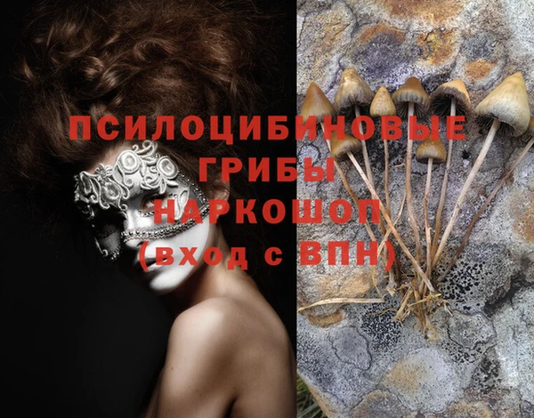 амф Алзамай