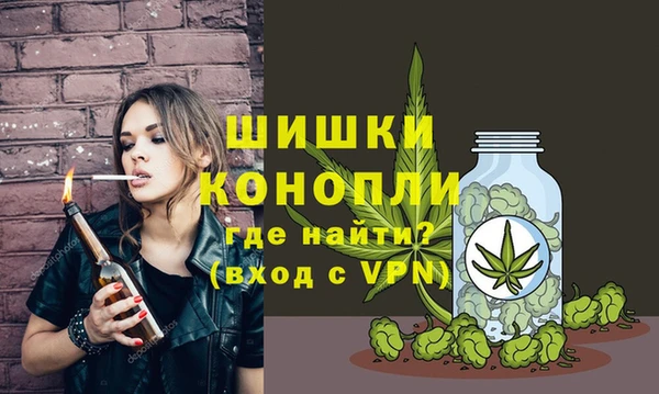амф Алзамай