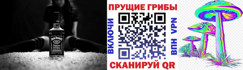 купить наркотик  Чадан  OMG зеркало  Галлюциногенные грибы прущие грибы 